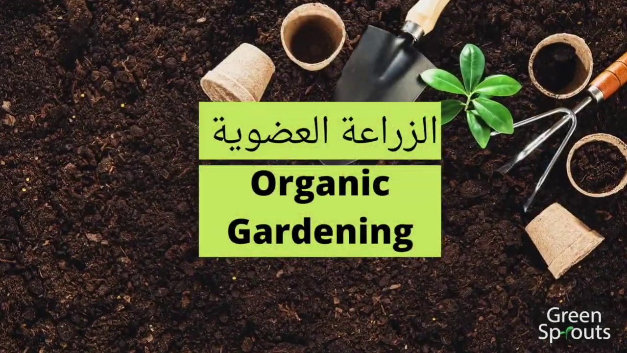 قصة نجاح خالد
